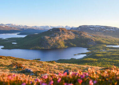 finlandia-lapponia-panorama-estate-01-blueberrytravel