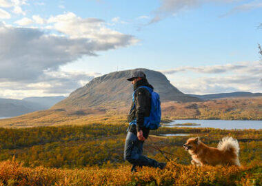 finlandia-lapponia-panorama-estate-02-blueberrytravel