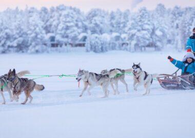 finlandia-lapponia-wilderness-hotel-husky-safari-04-blueberrytravel
