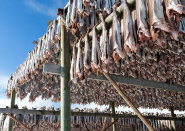 norvegia-lofoten-stoccafisso-02-blueberrytravel