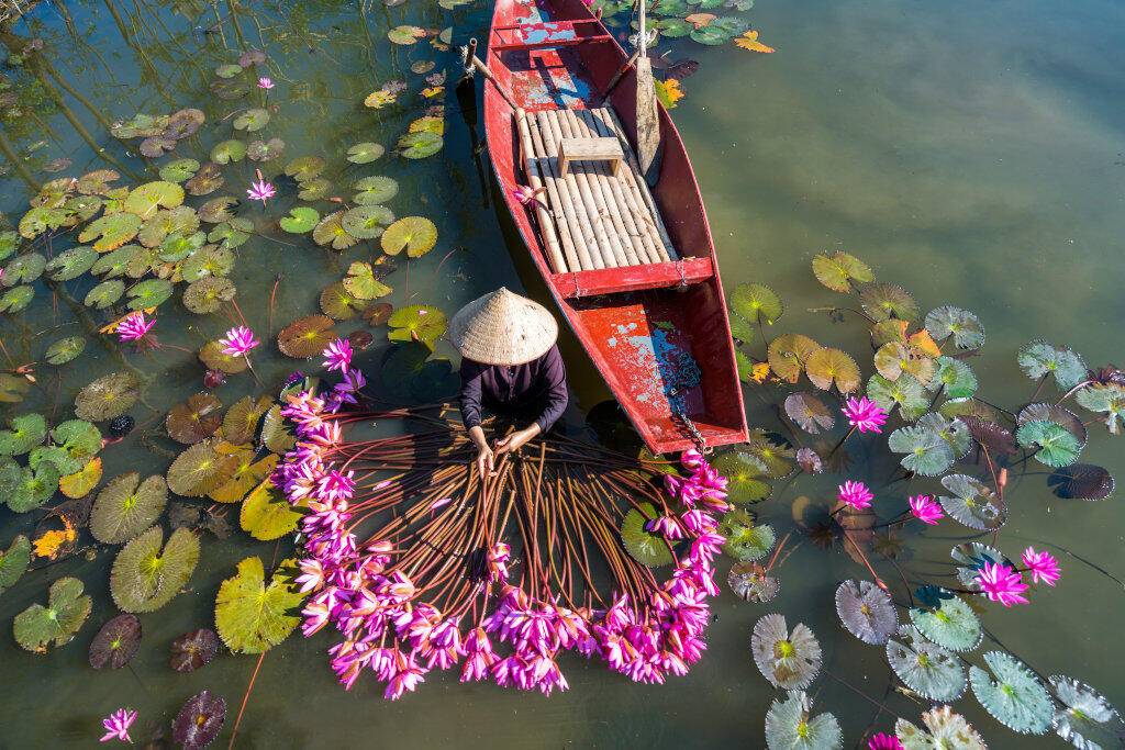 blueberry travel vietnam