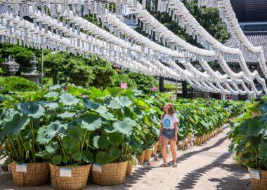 Blueberry_Accessori Korea_Andrea Meloni_48