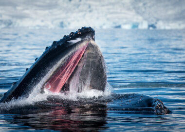 Ruslan Eliseev_1415_DSC_7762.jpg