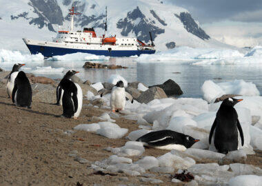 antartide-ms-ushuaia-pinguini-07-blueberrytravel