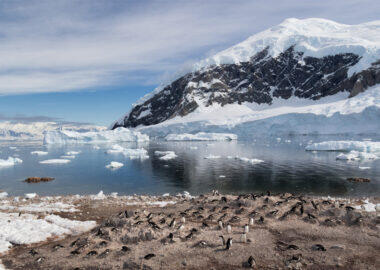 antartide-panorama-pinguini-01-blueberrytravel