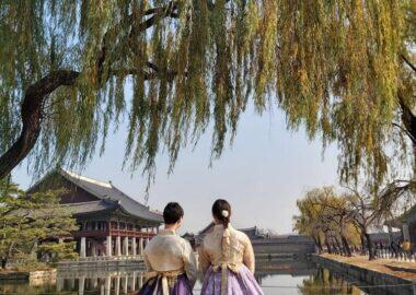 corea-coreatour-blueberry-travel-persi-corea-novembre (15)