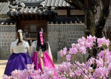 corea-coreatour-seoul-blueberry-travel-persi-corea (20)