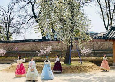 corea-coreatour-seoul-blueberry-travel-persi-corea (64)