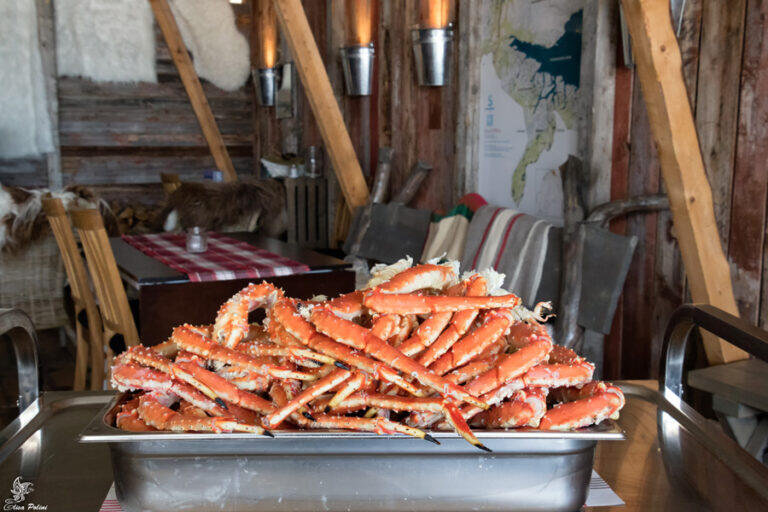 King Crab Safari, tutto quello che devi sapere!