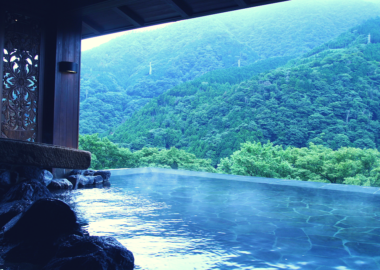 Giappone-Hakone-Gnyu-blueberry