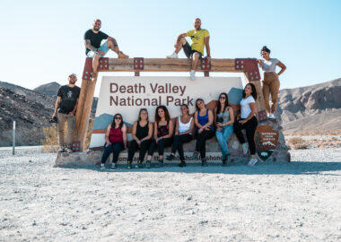 around-usa-blueberry-gruppo (10)