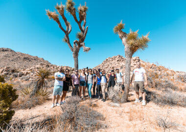 around-usa-blueberry-gruppo (2)