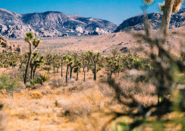 around-usa-blueberrytravel-paesaggio (3)