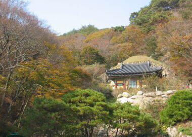 corea-del-sud-Korea-Gyeongju-Seokguram-13-blueberry-travel