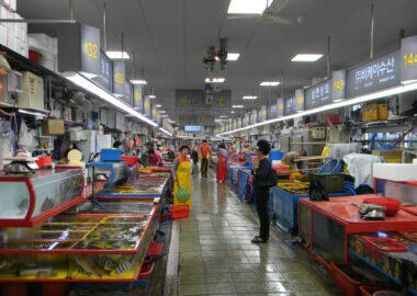 corea-del-sud_Busan-Mercato-Jagalchi-Interno-blueberry-travel