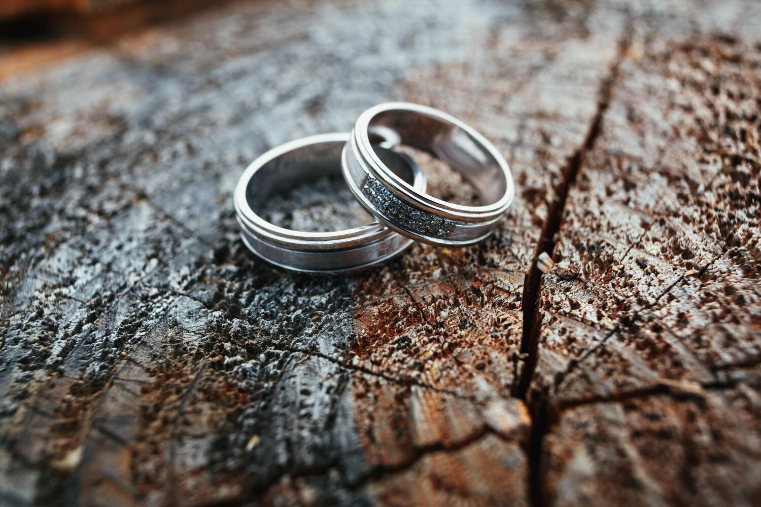 Можно переплавлять обручальные кольца. Свадебные кольца на дереве. Свадебные кольца на столе. Свадебные кольца фото. Обручальные кольца лежат.