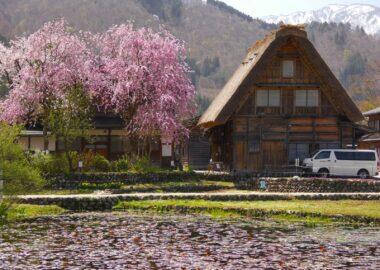 giappotour-blueberry-travel-giappone (97)