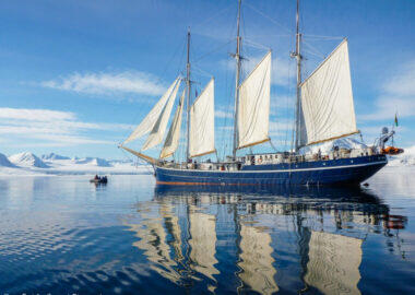 groenlandia-rembrandt-blueberry-travel