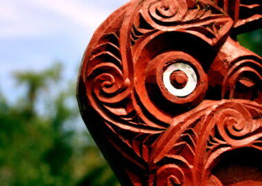 haka maori1 - blueberry