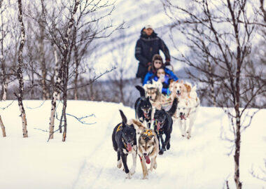 norvegia-ms-quest-husky-safari-blueberrytravel-02