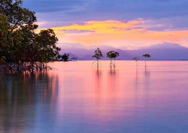 Australia-island-resort-orpheus-island