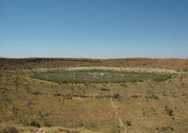 Australia-wolfe-creek-cratere-blueberry