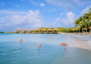 Aruba-spiaggia-flamingo-acqua-blueberry
