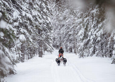 husky-04-grano-beckasin-blueberry-travel