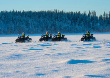170117 Granö bilder för Granö Beckasin