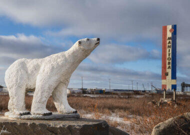 Churchill-Statua-Orso-Polare