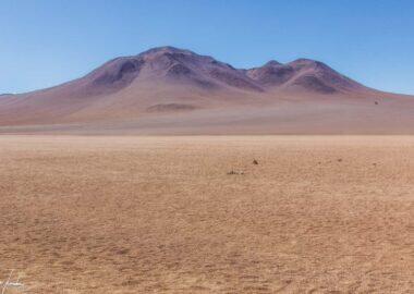 Bolivia-Desierto-de-Dali-1
