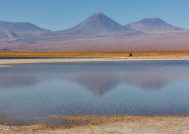 Deserto-di-Atacama-Laguna-Cejar-4