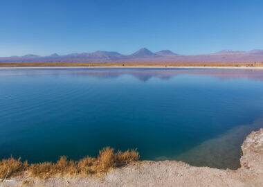 Deserto-di-Atacama-Laguna-Cejar-5