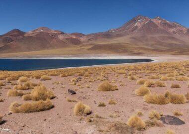 Deserto-di-Atacama-Lagunas-Miscanti-Miniques-1
