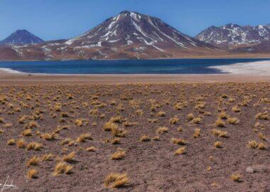 Deserto-di-Atacama-Lagunas-Miscanti-Miniques-5