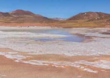 Deserto-di-Atacama-Salar-Agua-Caliente-Piedra-Rojas-2