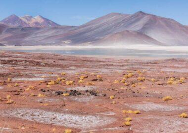 Deserto-di-Atacama-Salar-Agua-Caliente-Piedra-Rojas-6