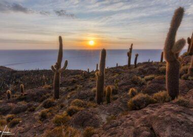 Salar-de-Uyuni-alba-Isla-Incahuasi-1