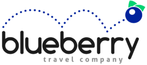 blueberry travel company logo