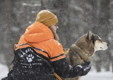 Enjoy the scenery as your husky team pulls you through the treeless swamps and snow-covered forests.
