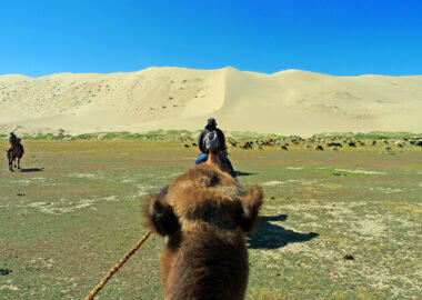 mongolia-camel-riding-013
