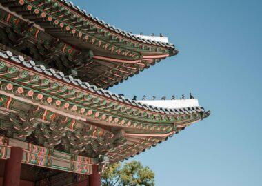 corea-seoul-blueberry-travel (15)