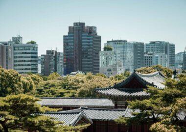 corea-seoul-blueberry-travel (31)