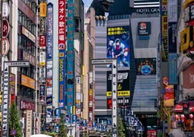 giappone-tokyo-blueberry-travel (2)