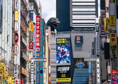 giappone-tokyo-blueberry-travel (3)