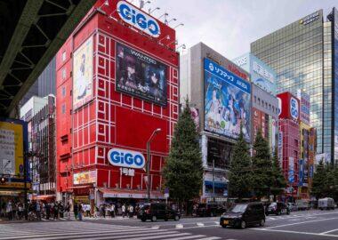 giappone-tokyo-blueberry-travel (72)