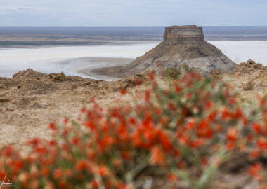 Viaggio-in-Kazakistan-Karynzharyk-1