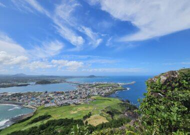 corea-jeju-yeha-blueberry-travel (19)