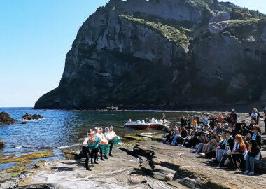 corea-jeju-yeha-blueberry-travel (23)