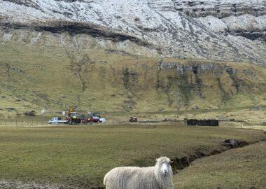 isolefaroe-pecora-blueberrytravel